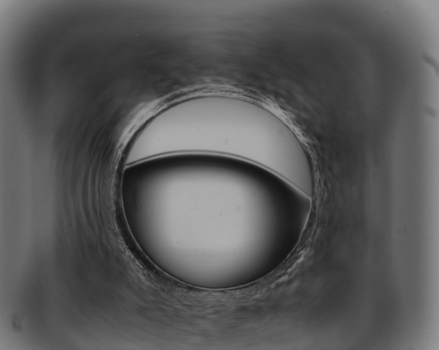 X0000091960007200709061109