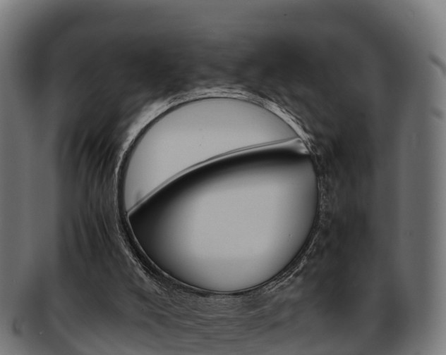 X0000091960008200709061109