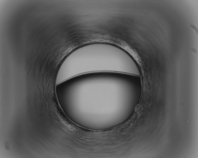 X0000091960009200709061109