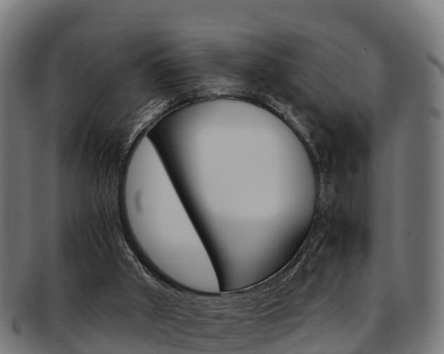 X0000091960010200709061109