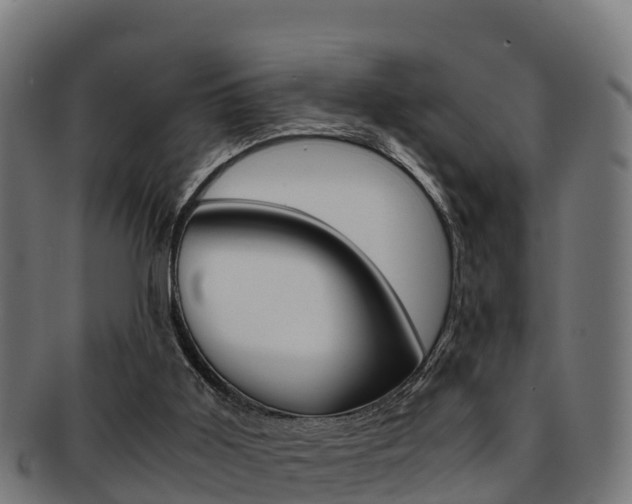 X0000091960011200709061109