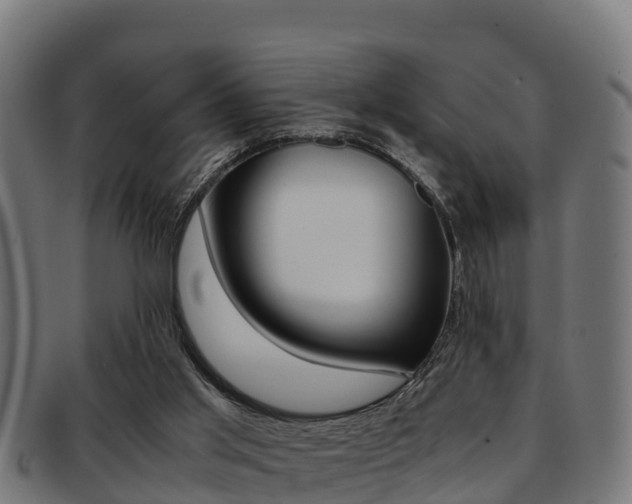 X0000091960013200709061109