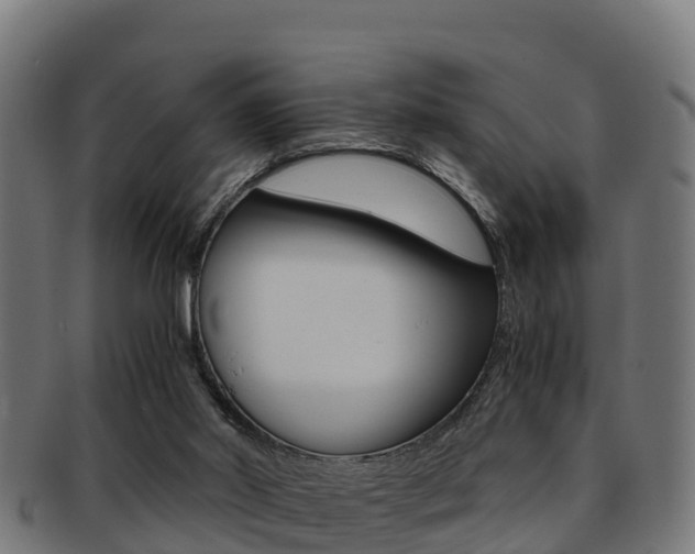 X0000091960014200709061109