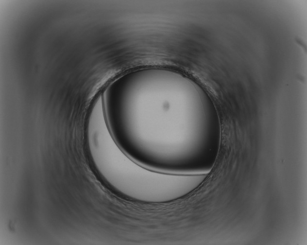 X0000091960015200709061109