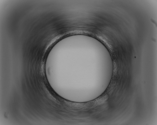 X0000091960016200709061109