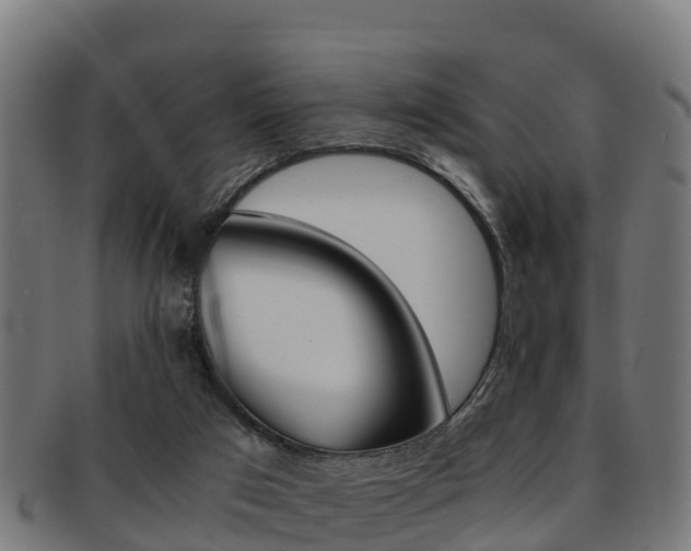 X0000091960017200709061109