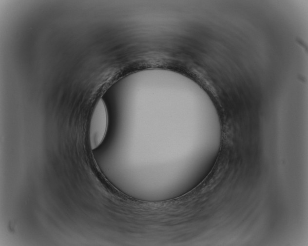 X0000091960018200709061109