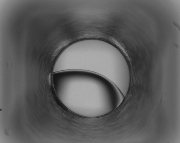 X0000091960019200709061109