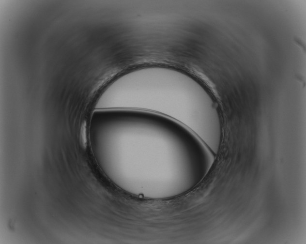 X0000091960020200709061109