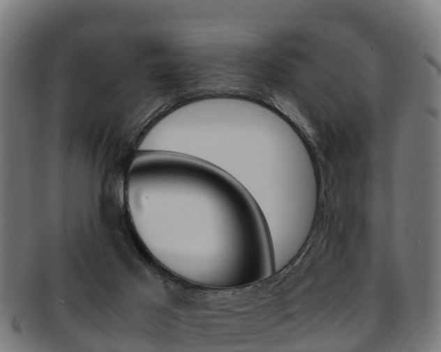 X0000091960021200709061109