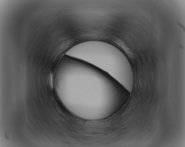 X0000091960022200709061109