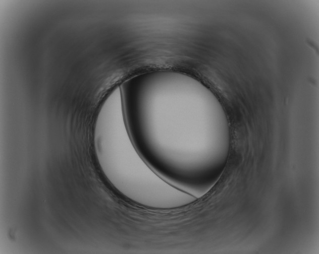 X0000091960023200709061109