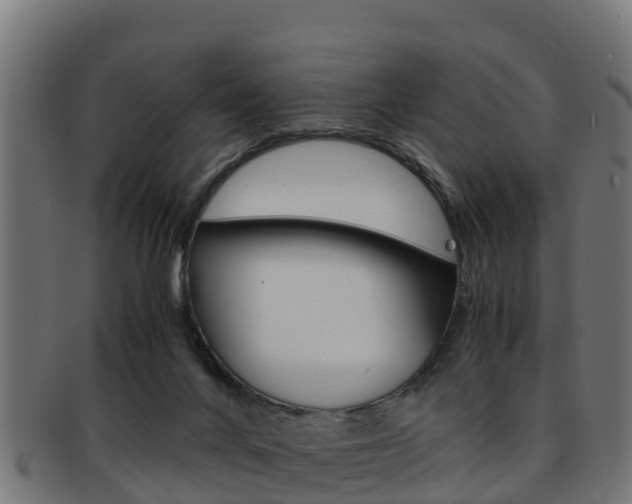 X0000091960024200709061109