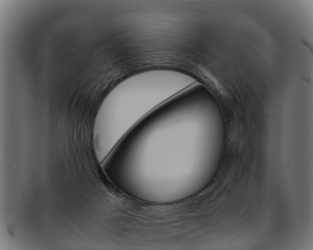 X0000091960025200709061109