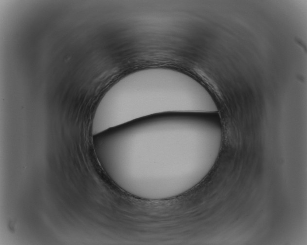 X0000091960026200709061109