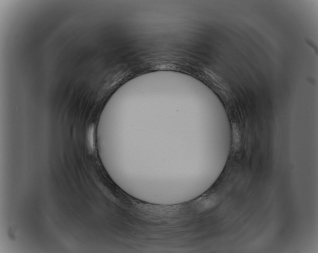 X0000091960028200709061109