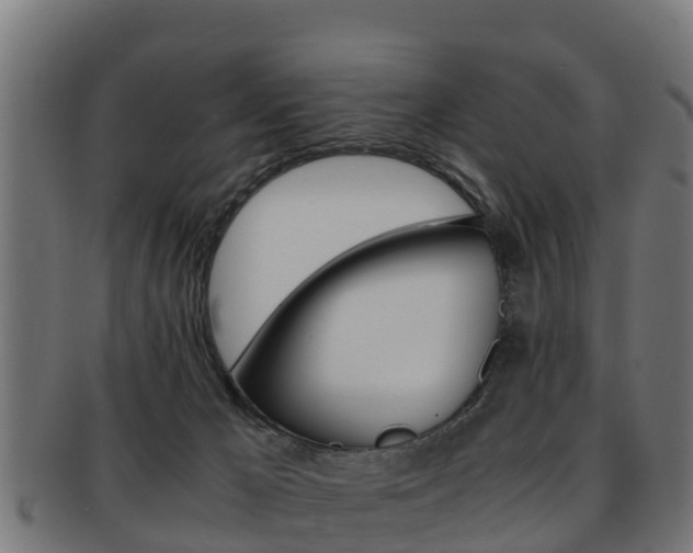 X0000091960029200709061109