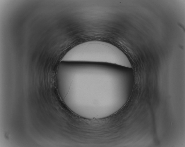 X0000091960030200709061109