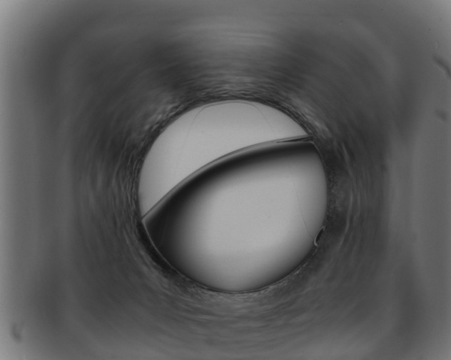 X0000091960031200709061109