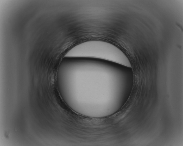 X0000091960032200709061109