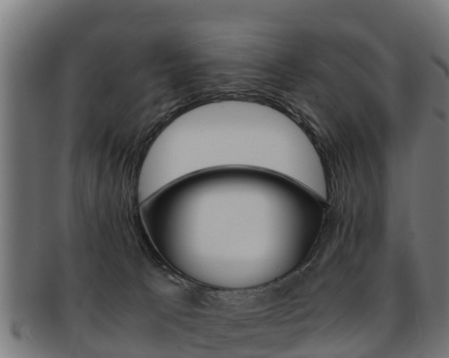 X0000091960033200709061109