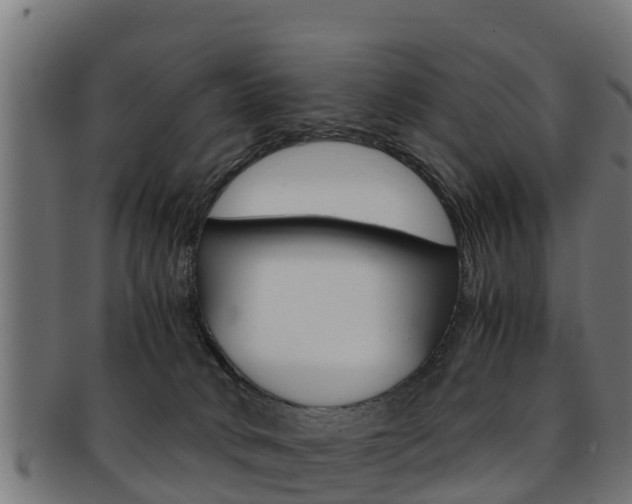 X0000091960034200709061109