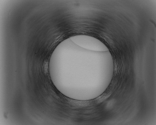 X0000091960036200709061109