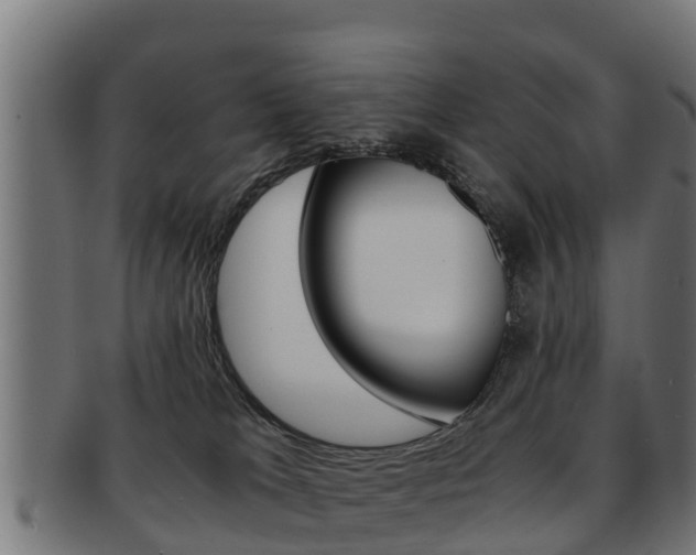 X0000091960037200709061109