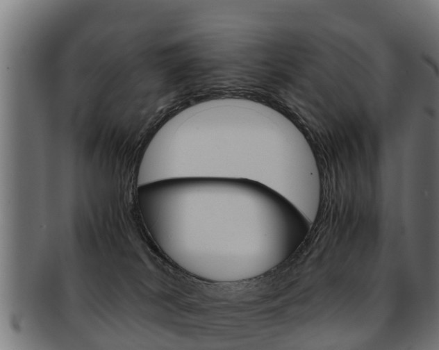 X0000091960038200709061109