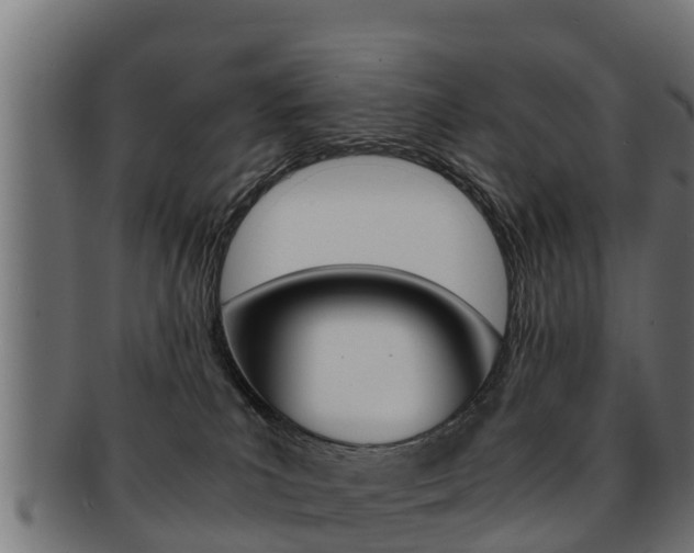 X0000091960039200709061109