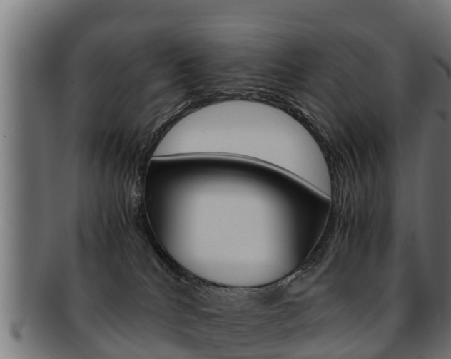 X0000091960040200709061109