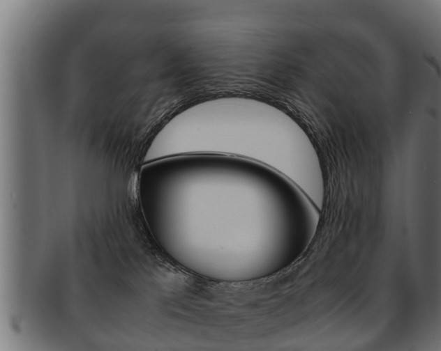 X0000091960041200709061109