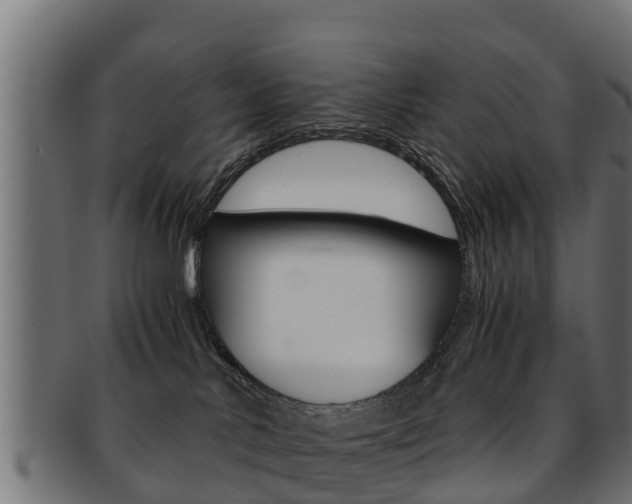 X0000091960042200709061109