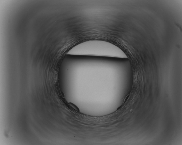 X0000091960043200709061109