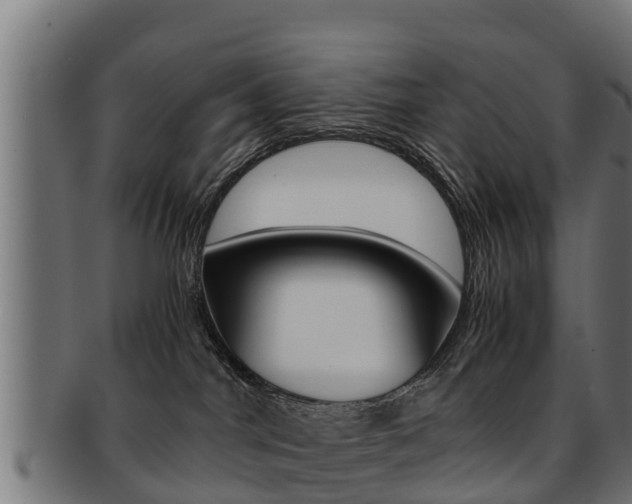 X0000091960044200709061109