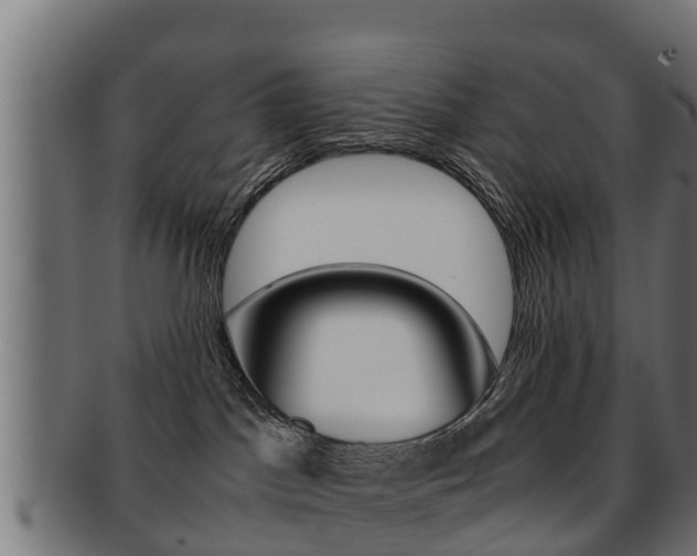 X0000091960045200709061109