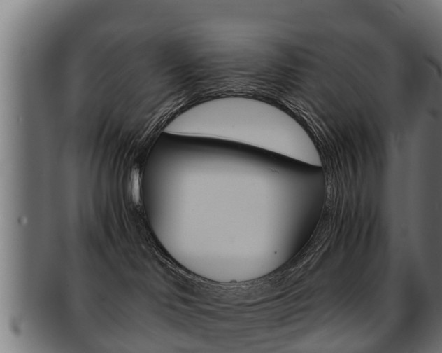 X0000091960046200709061109