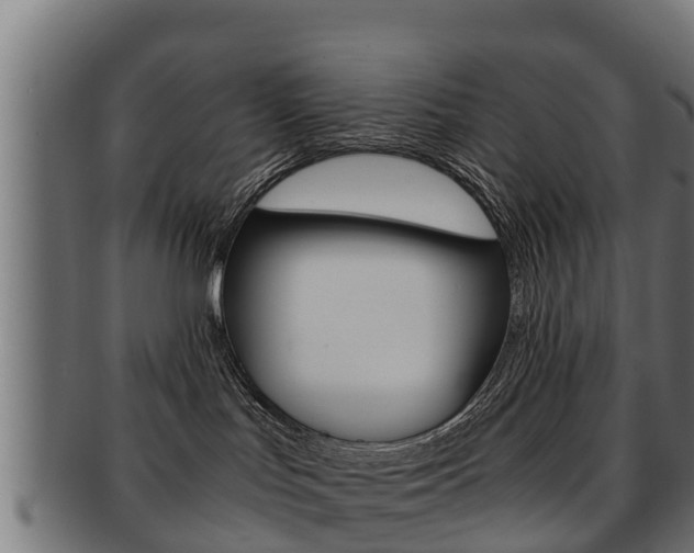 X0000091960047200709061109