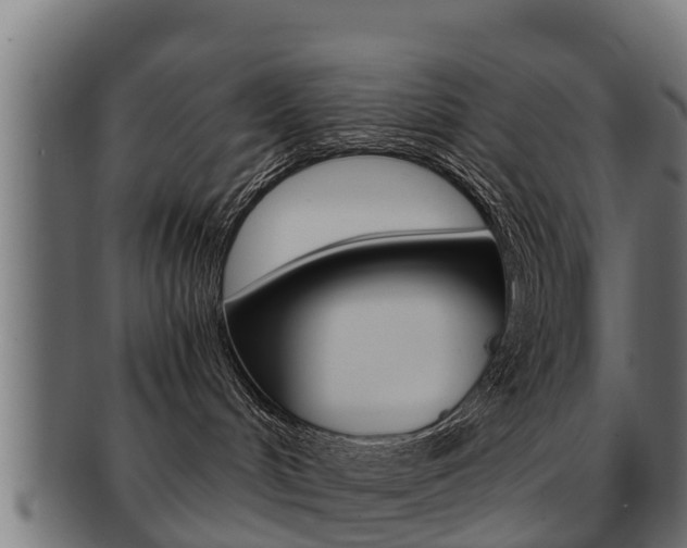 X0000091960048200709061109