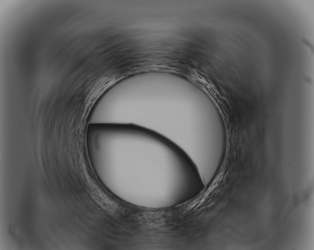 X0000091960049200709061108