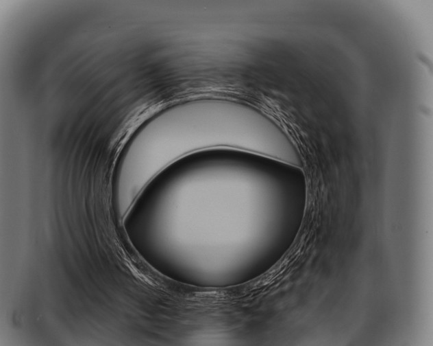 X0000091960050200709061108