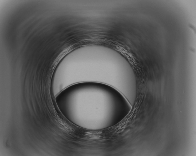 X0000091960051200709061108