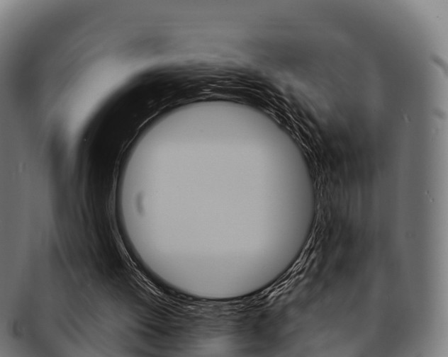 X0000091960052200709061108