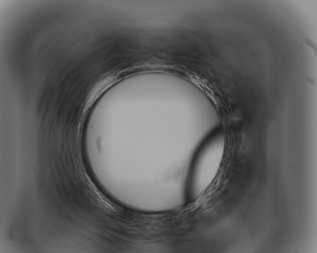 X0000091960053200709061108