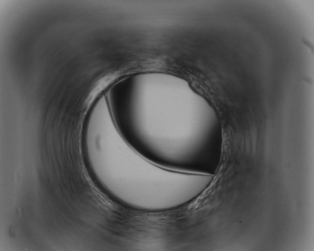 X0000091960054200709061108