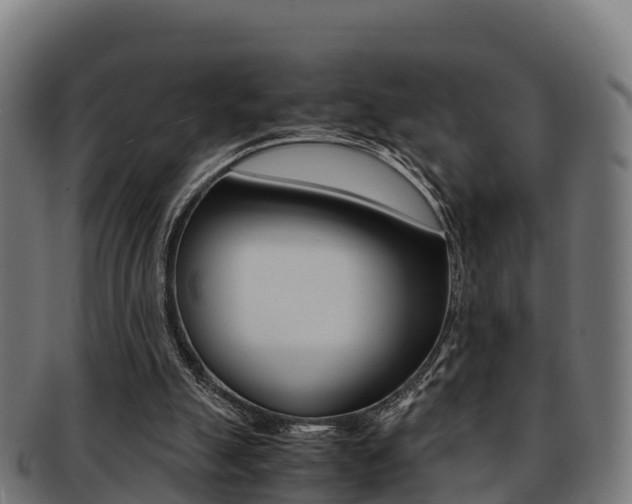 X0000091960055200709061108