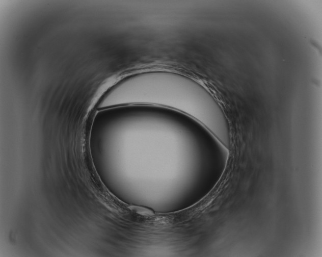 X0000091960056200709061108