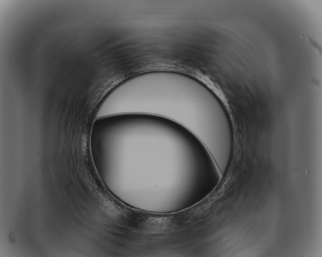 X0000091960057200709061108