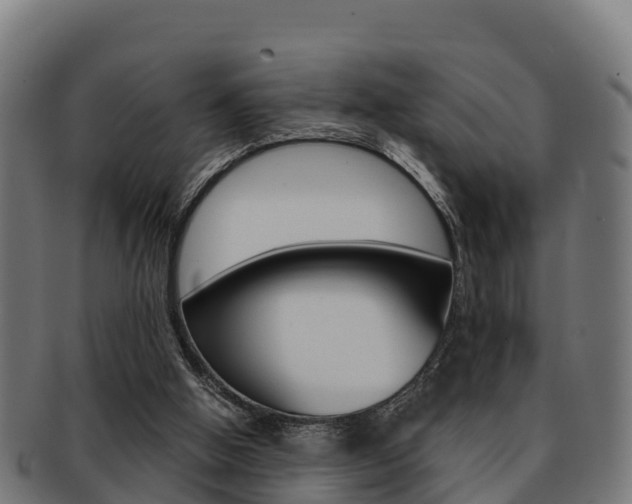 X0000091960058200709061108