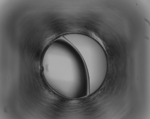 X0000091960059200709061108